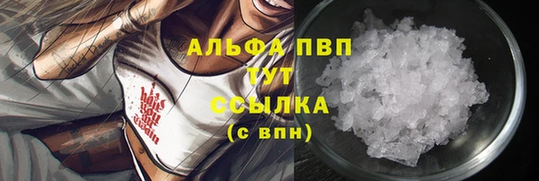 МДПВ Ельня