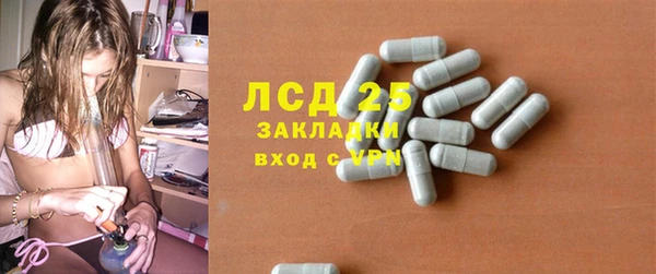 ПСИЛОЦИБИНОВЫЕ ГРИБЫ Елизово