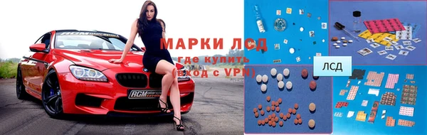 МДПВ Ельня