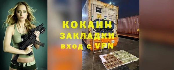 ПСИЛОЦИБИНОВЫЕ ГРИБЫ Елизово