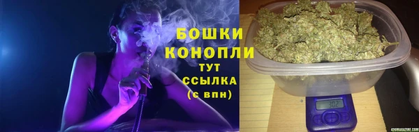 МДПВ Ельня