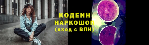 МДПВ Ельня