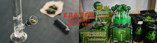 МДПВ Ельня