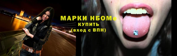 МДПВ Ельня
