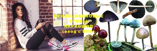 МДПВ Ельня