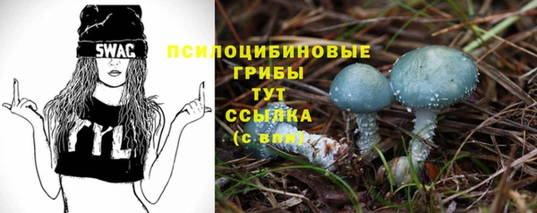 скорость mdpv Елабуга