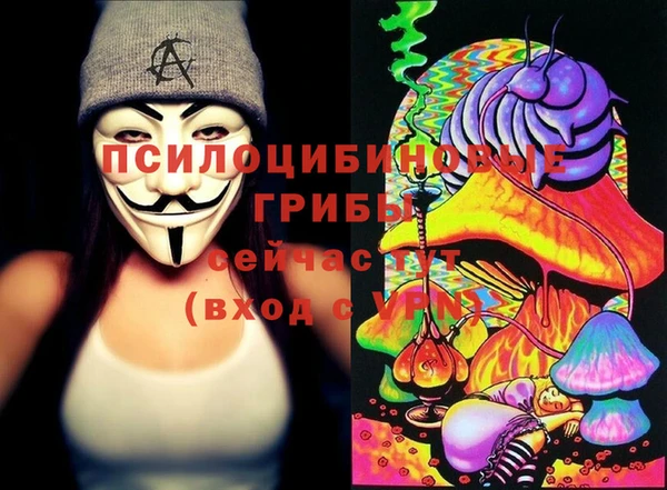 ПСИЛОЦИБИНОВЫЕ ГРИБЫ Елизово