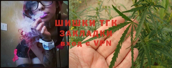 ПСИЛОЦИБИНОВЫЕ ГРИБЫ Елизово