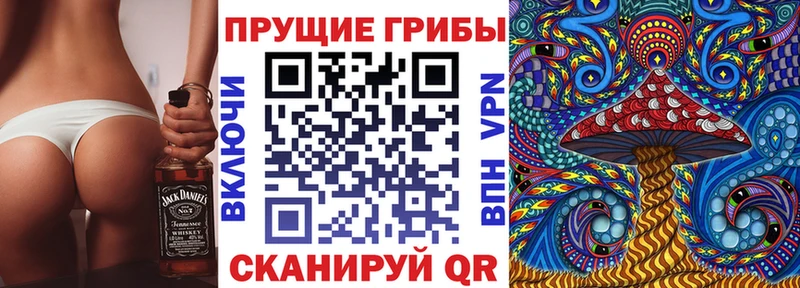 Галлюциногенные грибы Psilocybine cubensis  купить наркотик  Канск 