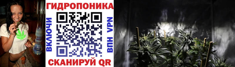 где можно купить наркотик  Канск  Шишки марихуана THC 21% 